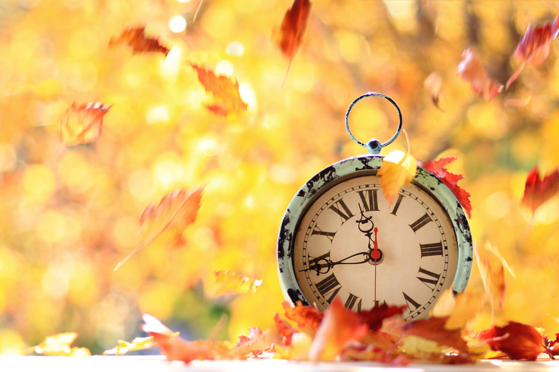 Old analog clock sitting on a bed of leaves with coloured leaves falling around the clock.