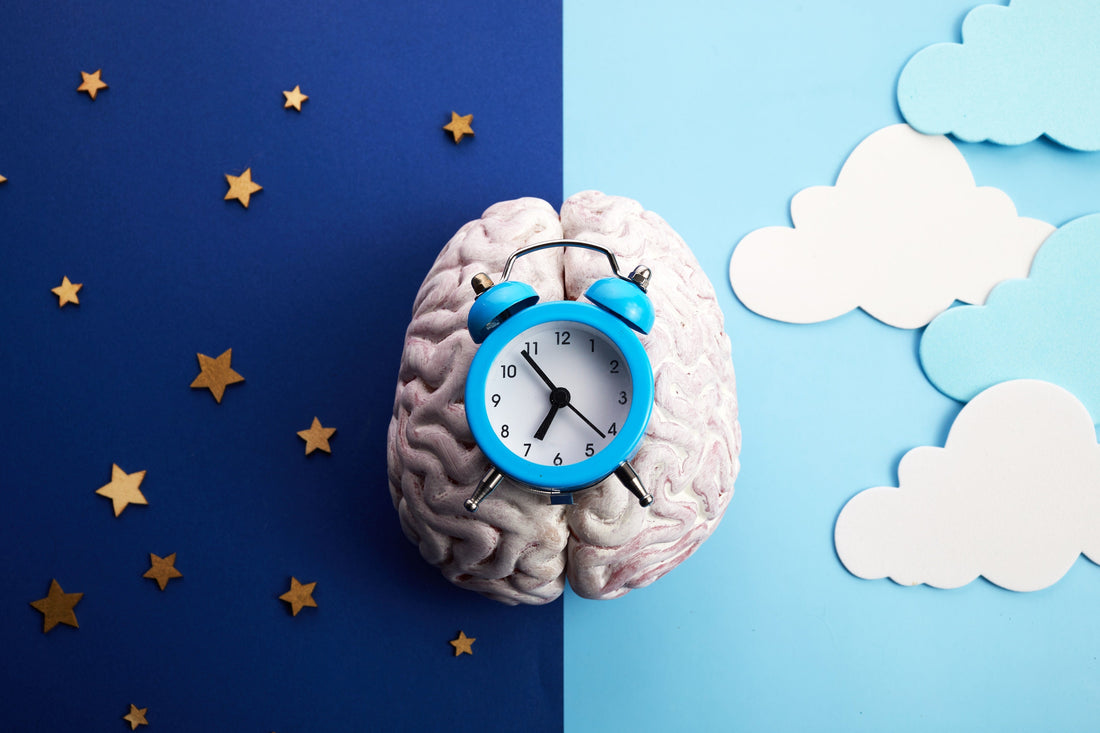 Brain with an alarm clock on top of it with stars on the left side and clouds on the right side of the image.