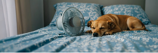 How to Sleep Better in the Heat: A Summer Sleep Guide